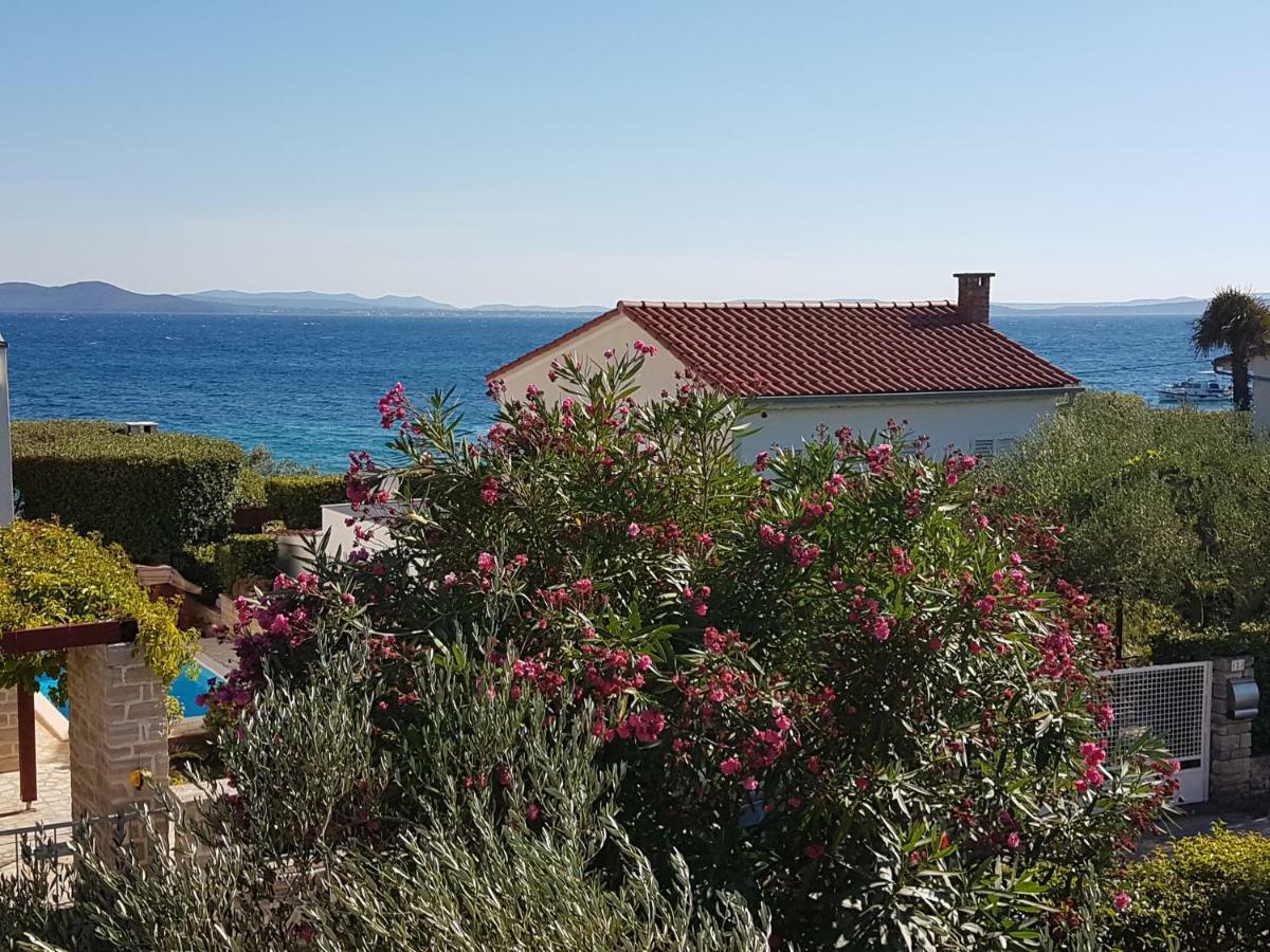 Apartman Roko Petrcane Esterno foto